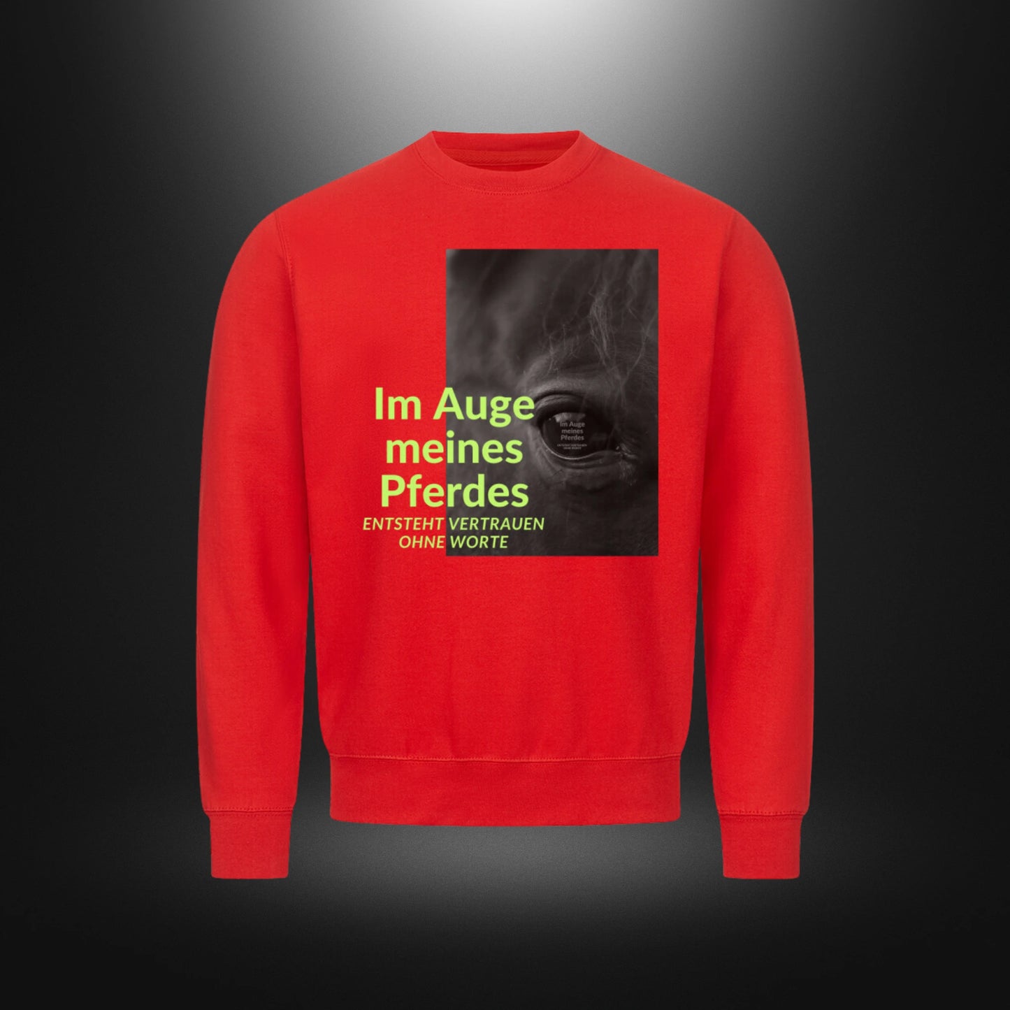 Classic Sweatshirt - Im Auge meines Pferdes ENTSTEHT VERTRAUEN OHNE WORTE Rappe