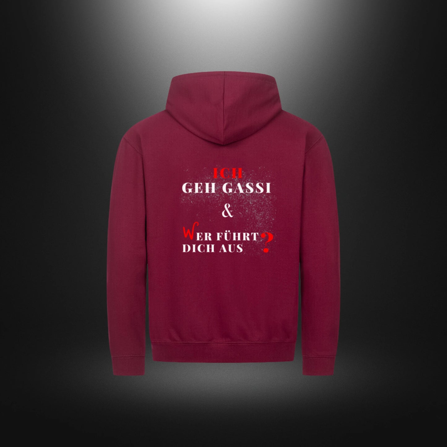 Classic Zipper Hoodie Unisex - ICH GEH GASSI & WER FÜHRT DICH AUS ?