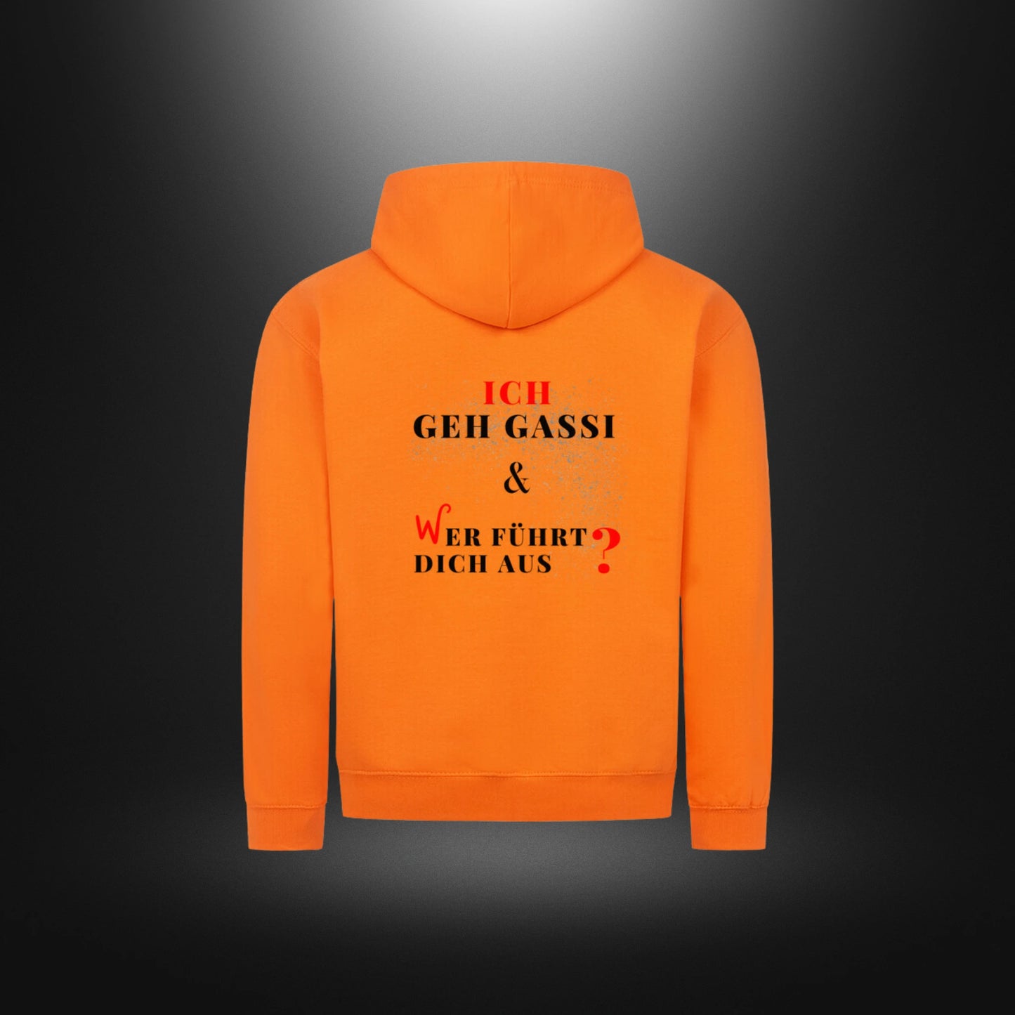 Classic Zipper Hoodie Unisex - ICH GEH GASSI & WER FÜHRT DICH AUS ?