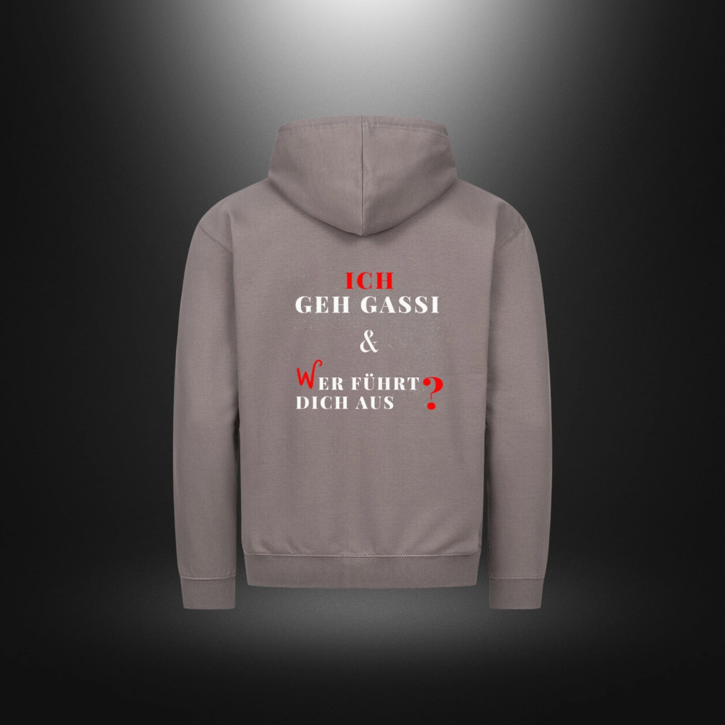 Classic Zipper Hoodie Unisex - ICH GEH GASSI & WER FÜHRT DICH AUS ?