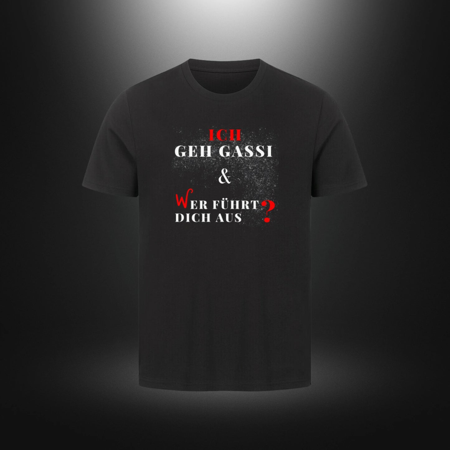 HigherBlanks Premium T-Shirt - ICH GEH GASSI & WER FÜHRT DICH AUS ?